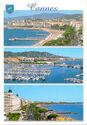 Various aspects of Cannes