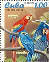 Scarlet Macaw (Ara macao)