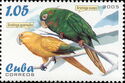 Golden Parakeet (Aratinga guarouba)