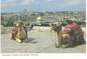 Jerusalem, viewed from the Mt. of Olives