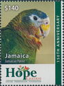 Jamaican Parrot (Amazona collaria)