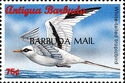 White-tailed tropicbird (Phaethon lepturus) - Overprinted
