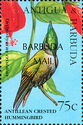 Antillean Crested Hummingbird - Overprinted