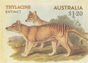 Thylacine (Thylacinus cynocephalus)
