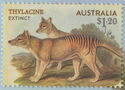 Thylacine (Thylacinus cynocephalus)