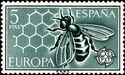 European Honey Bee (Apis mellifera)