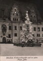 Meissen | Christmas Tree in Front of the Town Hall