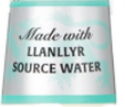 Llanllyr Source Bitter Lemon