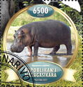 Hippopotamus (Hippopotamus amphibius)