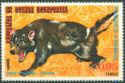 Tasmanian Devil (Sarcophilus harrisii)