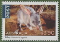 Bilby (Macrotis lagotis)