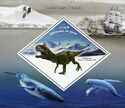 Antarctica Animals
