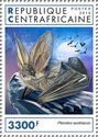 Grey Long-eared Bat (Plecotus austriacus)