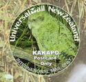 New Zealand Birds - Kakapo