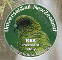 New Zealand Birds - Kea