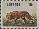 Leopard (Panthera pardus)