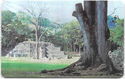 Maya Temple (Republica de Honduras)