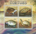 Turtles