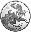30 Dollars (The Striking Bald Eagle)