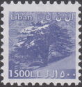 Cedar of Lebanon
