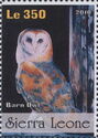 Barn Owl