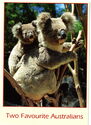 Two Favourite Australians