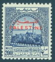 Akko Sight- overprinted
