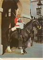 Mounted Guard, Whitehall
