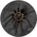 20 Dollars (Dark Nature - Thai Black Tarantula)