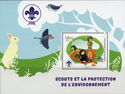 Scouts and the Protection of the Environment