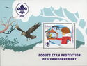 Scouts and the Protection of the Environment