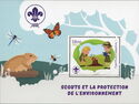Scouts and the Protection of the Environment