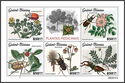 Medical Plants and Insects