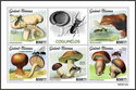 Mushrooms and Insects