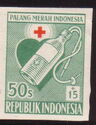 Red Cross Fund