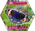 Junonia orithya