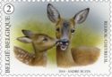 Western Roe Deer (Capreolus capreolus)