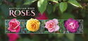 Australian Roses