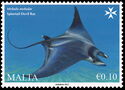 Spinetail Devil Ray (Mobula japanica)