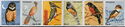 Birds strip of 6