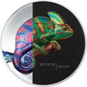 5 Dollars (Eclectic Nature - Chameleon)