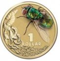 1 Dollar (Bright Bugs - Blow Fly)
