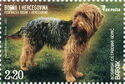 Bosnian Coarse-Haired Hound