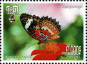 Leopard Lacewing (Cethosia cyane)
