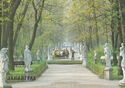 Leningrad. Allee of Summer Garden