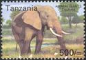 African Elephant (Loxodonta africana)