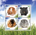Guinea Pigs