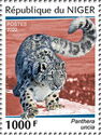 Snow Leopard (Panthera uncia)