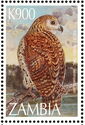 Pel's Fishing Owl (Scotopelia peli)