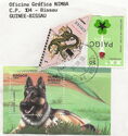 German Shepherd (Canis lupus familiaris)